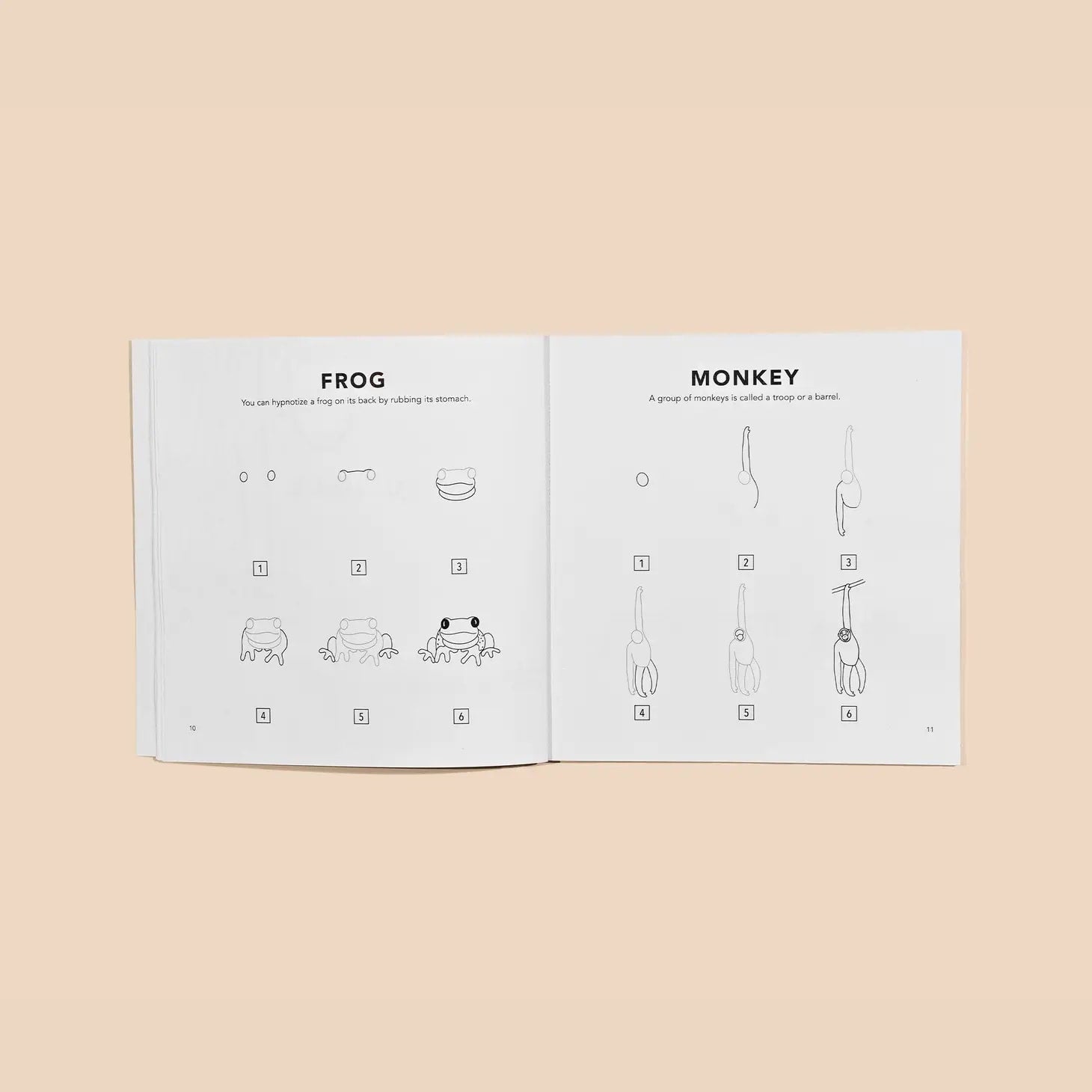 How to Draw Book: All the Animals
