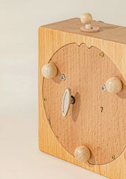 Wooden Music Box - Dinosaurs