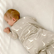 Cloud Sleep Bag 1.0 - Goose