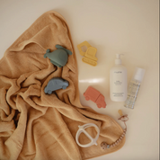 Mold Free Bath Toy Set - Vehicle