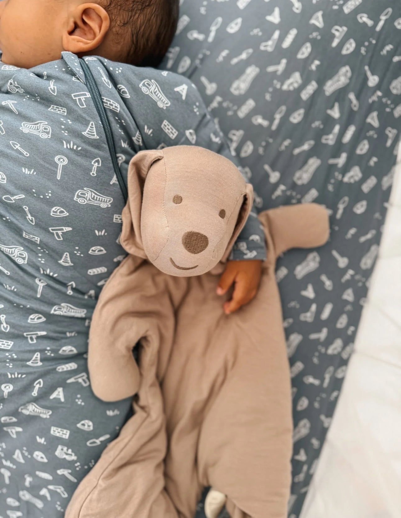 Cloud Lovey Pup - Mutts