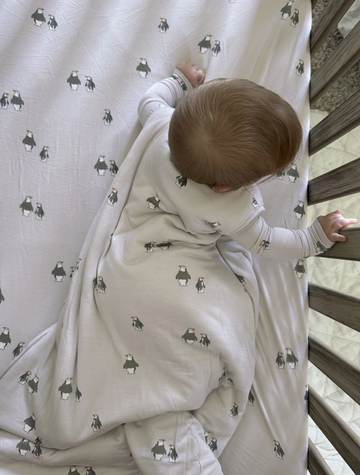 Cloud Sleep Bag - Penguins