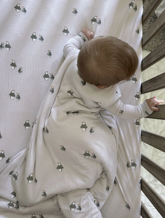 Cloud Sleep Bag - Penguins