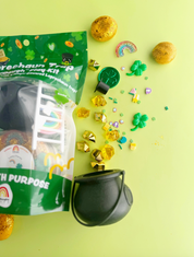 Leprechaun Trap Play Dough Kit