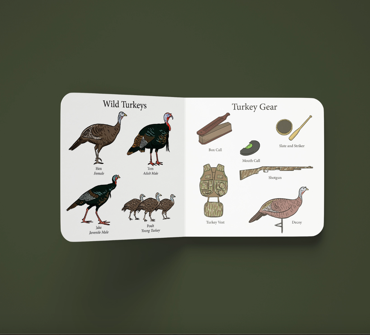 Turkey Season Book