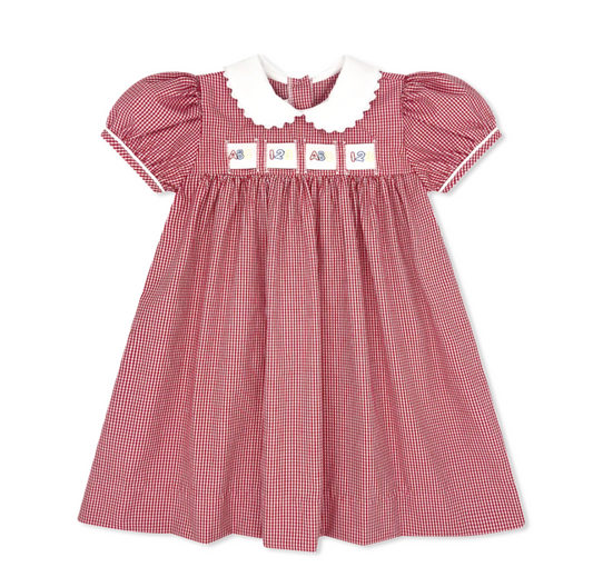 Ruth Ribbon Dress - Ridgeland Red Minigingham