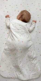 Cloud Sleep Bag 1.0 - Ducks