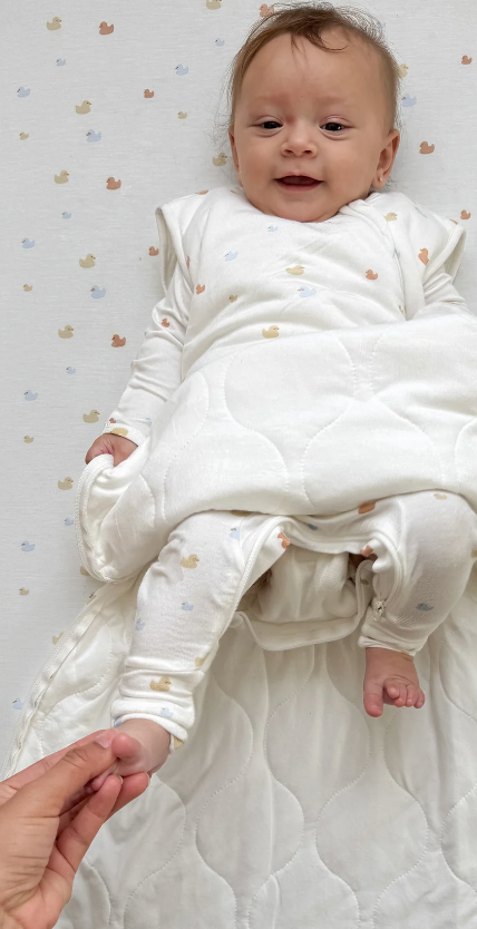 Cloud Sleep Bag 1.0 - Ducks