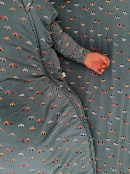 Cloud Sleep Bag 1.0 - Going