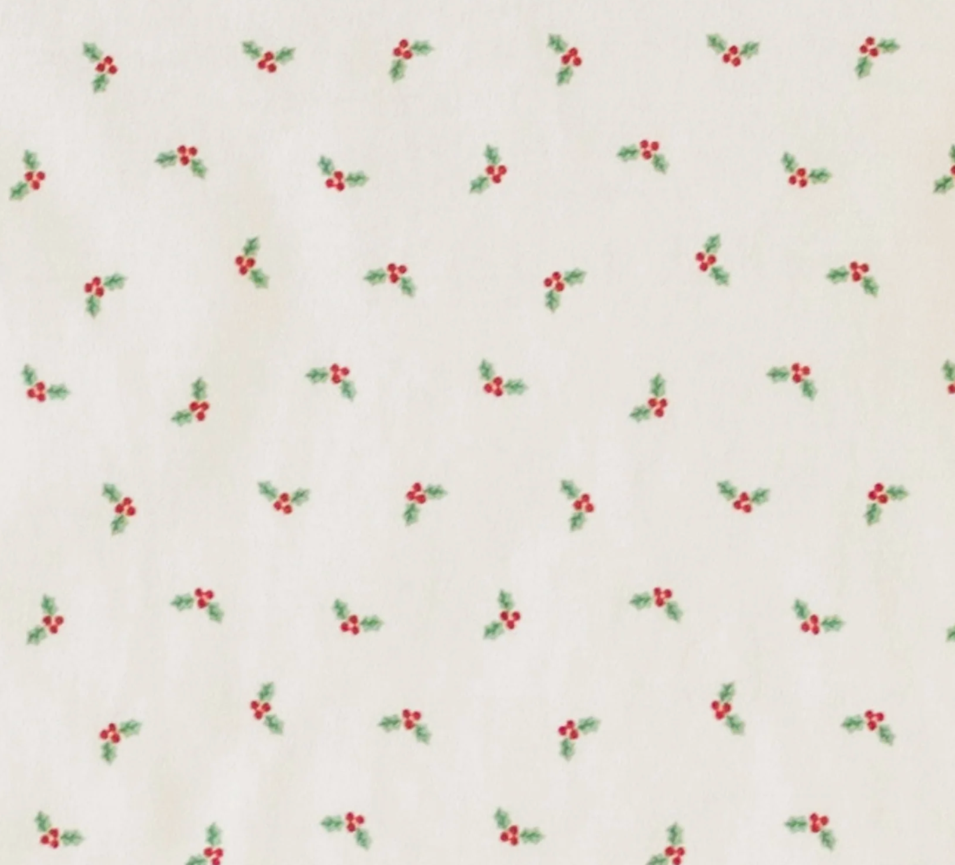 Winter Berries Footie