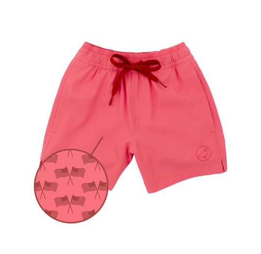 Splash Swim - Freedom Flag