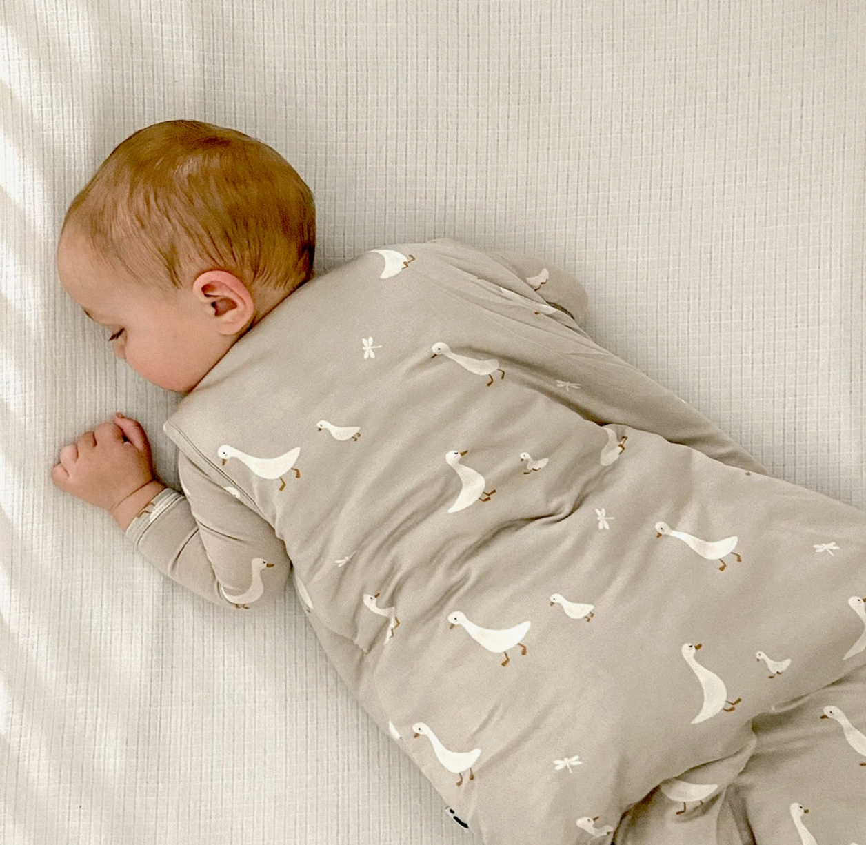 Cloud Sleep Bag 2.6 - Goose