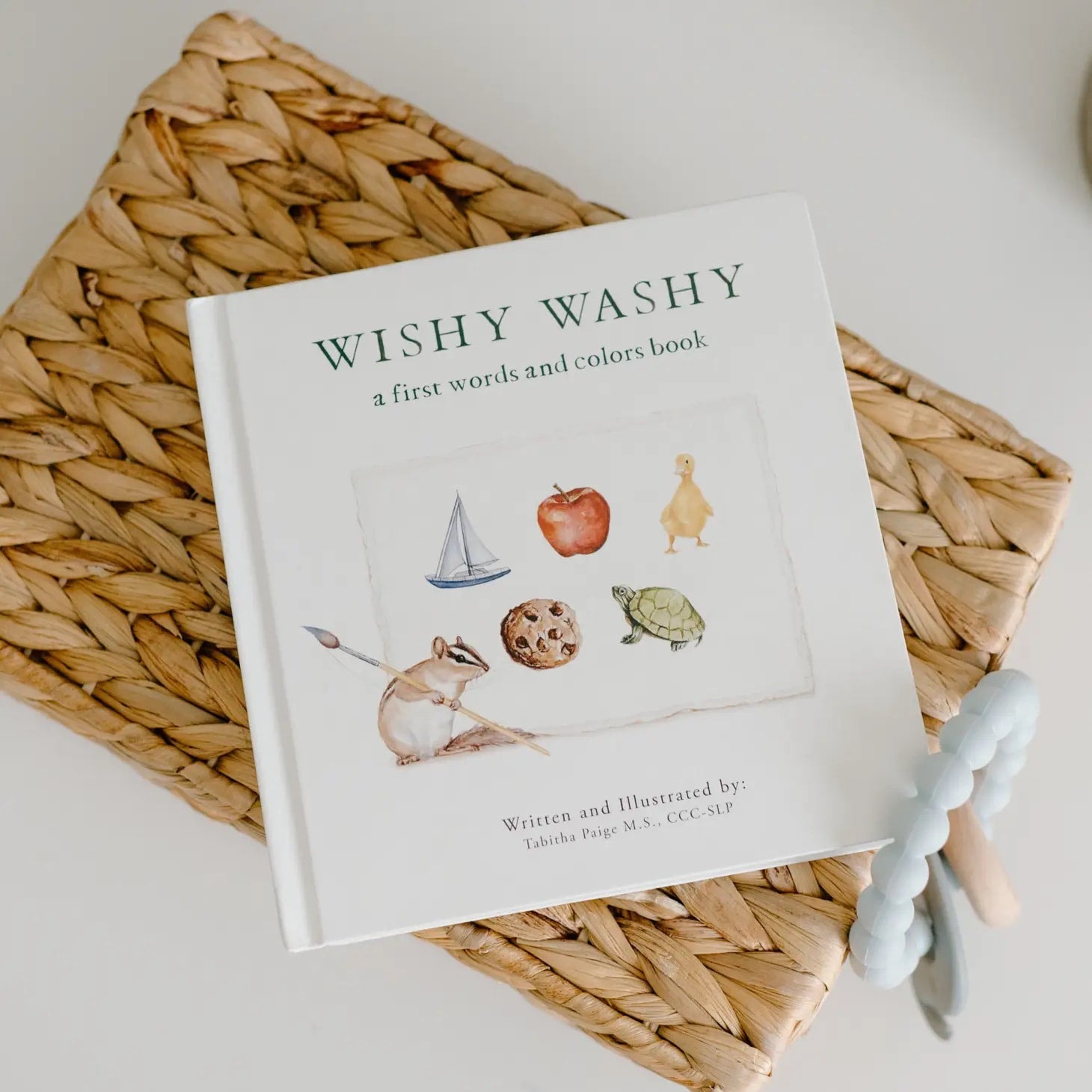 Wishy Washy Book