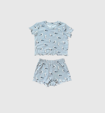 Scallop Set - Seagull