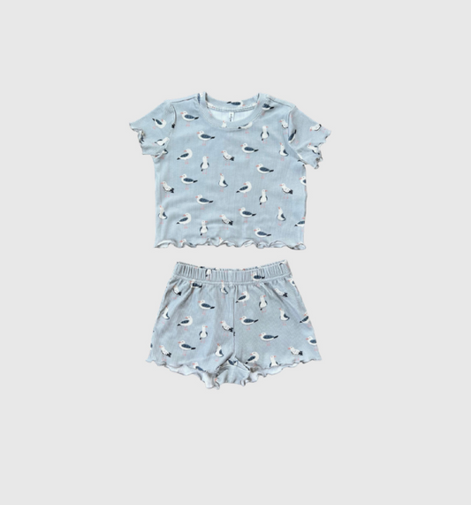 Scallop Set - Seagull