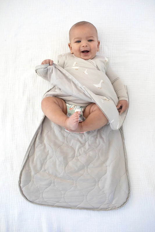 Cloud Sleep Bag 1.0 - Goose
